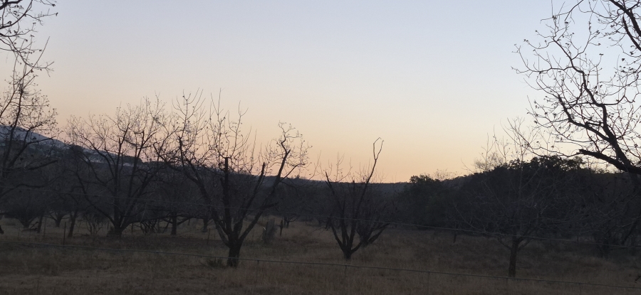 9 Bedroom Property for Sale in Rietfontein AH North West